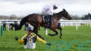 The New Lion favourite as Champion Hurdle picture is shaken up