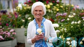 Dame Mary Berry: Having a garden has brought me great solace