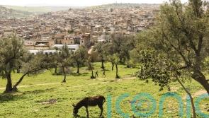 Discover Fes &ndash; Morocco&rsquo;s historic second city and Marrakech&rsquo;s less-visited alternative