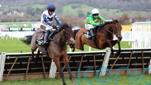 Derham announces retirement of &lsquo;magnificent&rsquo; stable stalwart Brentford Hope