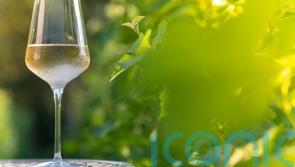 6 wonderful whites to signal springtime