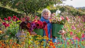 The best flowers to grow for cutting