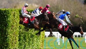 Roi Mage still going strong with brilliant Down Royal second