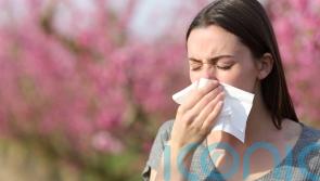 Home hacks for a sneeze-free space