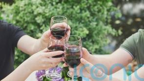 6 marvellous malbecs to salute World Malbec Day