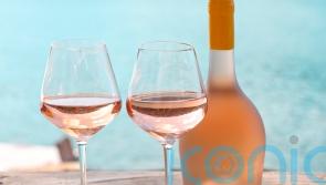 It&rsquo;s rose season &ndash; 7 superb wines to drink al fresco