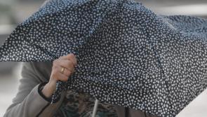 Weather warnings issued for most of the country by Met Eireann as Storm Agnes approaches Ireland
