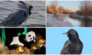 PICTURES: Tullamore Camera Club members capture new collection of breathtaking photos