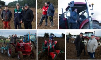 BIG PICTURE SPECIAL: Great turnout for Offaly Ploughing Championships