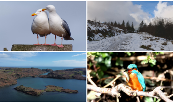 PICTURES: Tullamore Camera Club members capture new collection of breathtaking photos