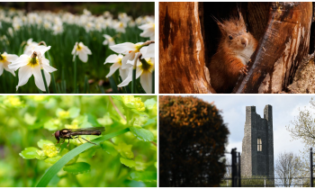 PICTURES: The latest eye-catching photos captured by members of Tullamore Camera Club