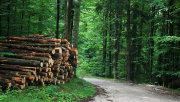 Over &euro;129-million issued across Tipperary in 2025 by the Department of Agriculture, Food and the Marine