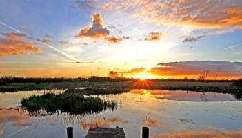 Restoration of Offaly wetlands to be focus of information meeting this week