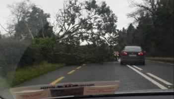 Alert: Met Eireann pinpoints when status yellow wind warning is set to hit 11 counties