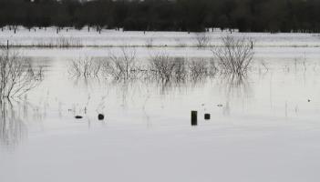 Calls in Offaly for millions of tonnes of peat silt to be dredged from Shannon