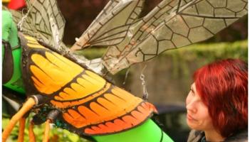 Shakefest is back at Charleville Castle, Tullamore