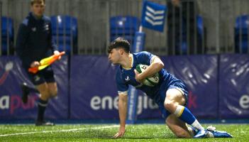 Offaly man named in Leinster rugby academy