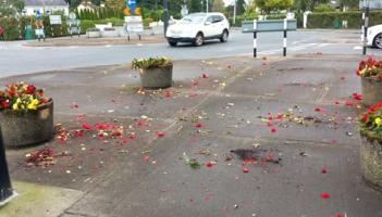 ''Why?'' asks Tullamore Tidy Towns as flowers ripped out of planters are thrown around 
