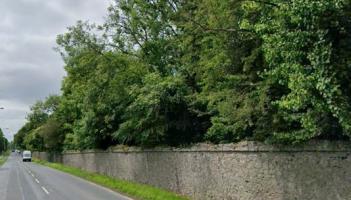 Councillor Declan Harvey has called for trees along the Charleville Road to be trimmed