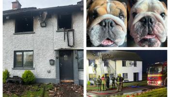 Community rally around Offaly family who tragically lost their beloved dogs in house fire