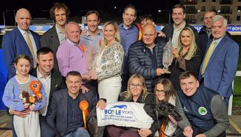 Gone to the dogs: Six Offaly winners as Holland wins record fifth Derby