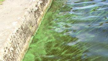 Deputy Alan Kelly among objectors to 170km Shannon water pipeline plan