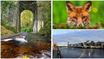 IN PICTURES: The spectacular photos that won Tullamore Camera Club's monthly competition