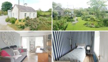 'A rare find' - Charming cottage in Offaly with jaw-dropping feature now on the market