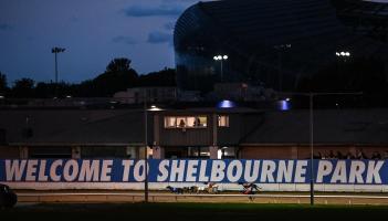 Gone to the dogs: Eight Offaly winners as Merriman wins Dublin Cup
