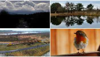 PICTURES: Members of Tullamore Camera Club share latest collection of stunning photos