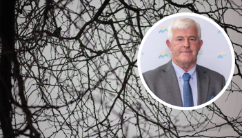 Overgrown trees causing &lsquo;serious risks&rsquo; in Offaly amid &lsquo;age of environmentalists&rsquo;