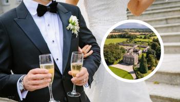Owners of historic house near Offaly town seek to build huge 'wedding village' venue
