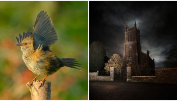 PICTURES: The spectacular photos that won Tullamore Camera Club's monthly competition