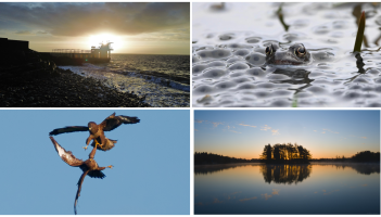 PICTURES: The latest eye-catching photos captured by members of Tullamore Camera Club