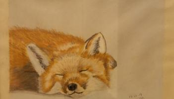 A painting of a fox by Lily Akgonul
