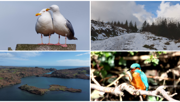 PICTURES: Tullamore Camera Club members capture new collection of breathtaking photos