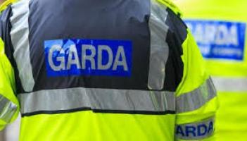 Garda appeal after collision