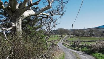 Big backlog of road improvement applications in Offaly