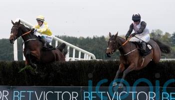 Heart Wood starts in winning fashion at Punchestown