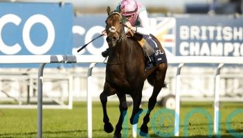 Kalpana leads Balding’s Ascot team in title pursuit