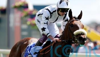 Al Qareem set to serve it up to Trawlerman in Cup