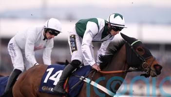 Panther hunting Grade One glory at Leopardstown