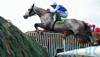No rush to map out next outing for Resplendent Grey