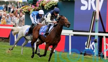 Royal Fixation to join Karl Burke