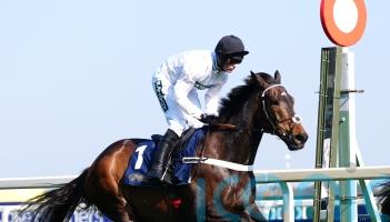 Flat option appears be edging closer for Constitution Hill