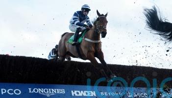 Vincenzo gains reward for string of consistent efforts