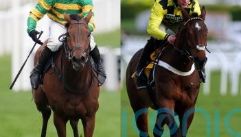 Sir Gino and The New Lion set for Cheltenham clash