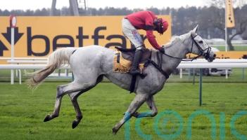 Grey Dawning heads five in Cotswold contention