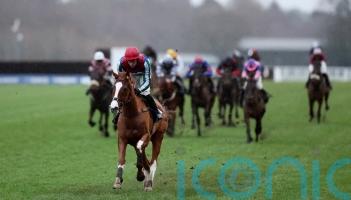 Punchestown calling for Windbeneathmywings, says Pipe