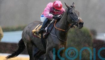 Go Dante aiming for record third Imperial Cup success